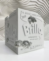 Eroded Brillo Box - David Benrimon Fine Art Gallery