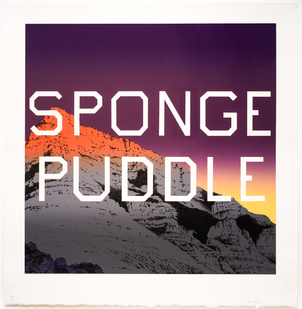 Sponge Puddle - David Benrimon Fine Art Gallery